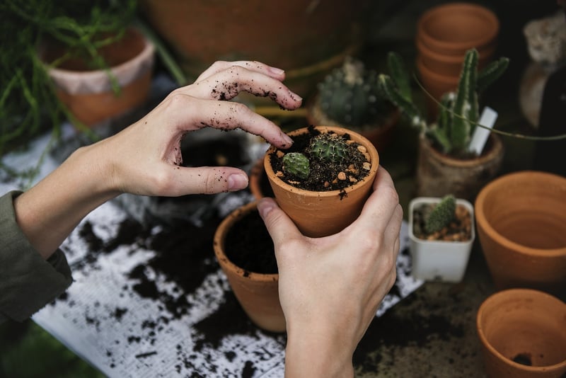 Planting Party
